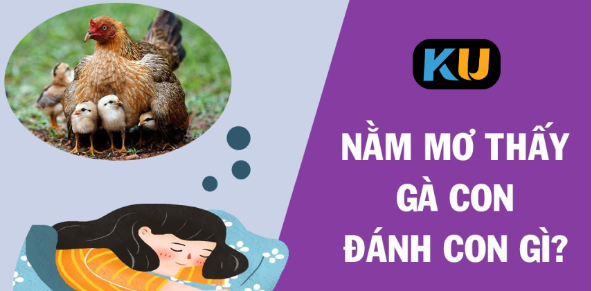 Giải mã chi tiết các trường hợp mơ thấy gà